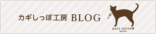 bn blog